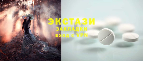 стафф Каменка