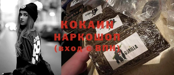стафф Каменка