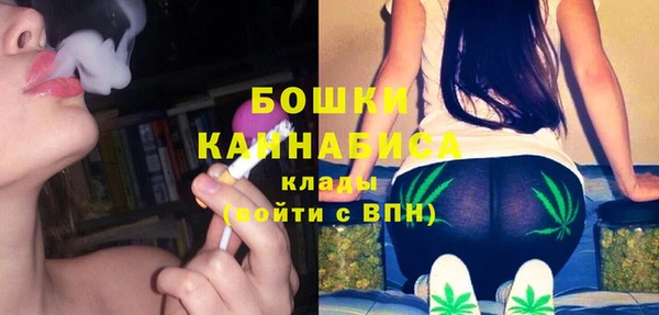 стафф Каменка