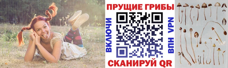 Псилоцибиновые грибы MAGIC MUSHROOMS  Купить  Зеленокумск 